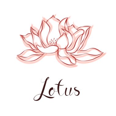 Lotus çiçeği. El Vintage dekoratif tasarım öğesi çekilmiş. Vect