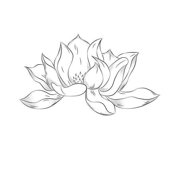 Lotus çiçeği. Elle çizilmiş resimde noktalarla etkisi ile. Vinta — Stok Vektör