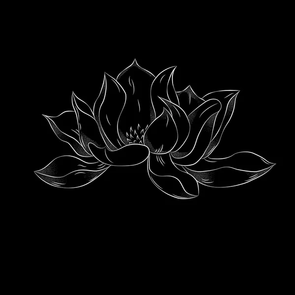 Lotus çiçeği. Elle çizilmiş resimde noktalarla etkisi ile. Vinta