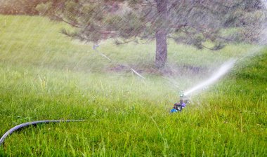 Yeşil çimenleri sulayan otomatik çim püskürtücü. Otomatik sistemli fıskiye. 