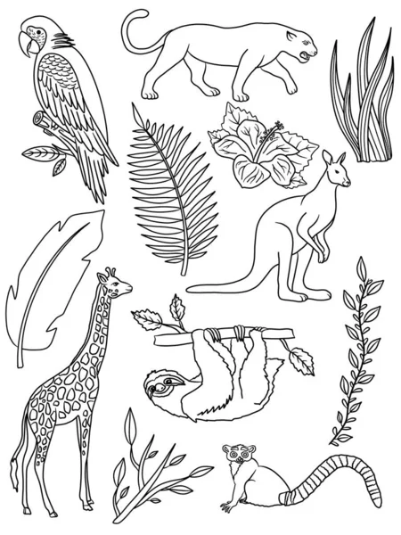 Set Animals Coloring Page — Stock Photo, Image