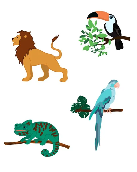 Set Tropical Animals — Stock Photo, Image