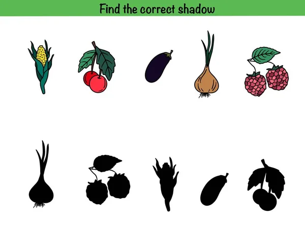 Find Correct Shadow Logical Game Autumn — Stock Photo, Image