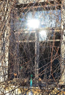 Eski, terk edilmiş bir binanın dışında güneşin aydınlattığı bir pencerenin fotoğrafını çektim.