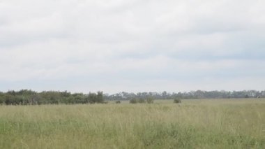 Cessna uçağı iniyor ve kalkıyor.