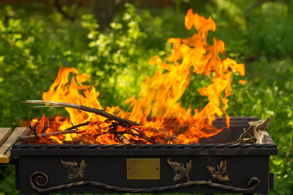 Lit a fire in the grill Royalty Free Stock Photos