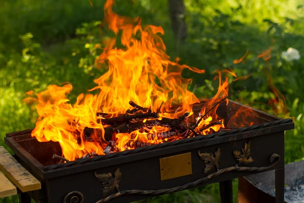 Lit a fire in the grill Stock Photo