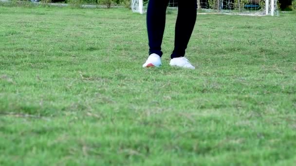 Genç Bir Kadın Çimenlerde Koşarken Ayak Bileğini Incitti Sağlıklı Egzersiz — Stok video