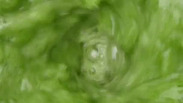 Salad Daun Hijau Kale Smoothie Dicampur Dalam Blender Dengan — Stok Video