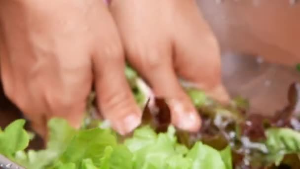 Gros Plan Des Mains Féminines Qui Lavent Les Légumes Frais — Video