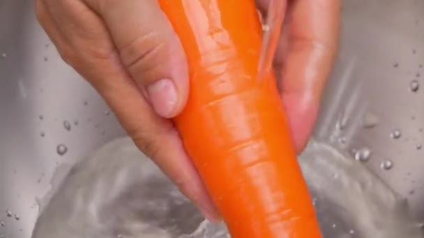 Κοντινό Πλάνο Των Γυναικείων Χεριών Πλύσιμο Φρέσκο Ακατέργαστο Καρότο Κάτω — Αρχείο Βίντεο