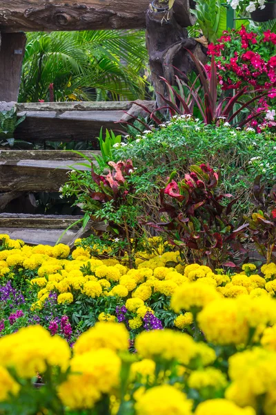 Chaise en bois dans le jardin des fleurs . — Photo