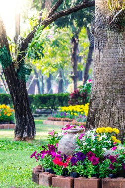 Bahçedeki çiçekler.