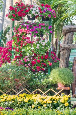 Bahçedeki çiçekler.