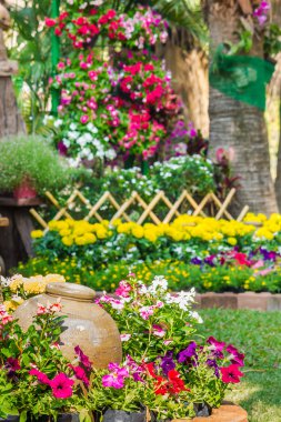 Bahçedeki çiçekler.