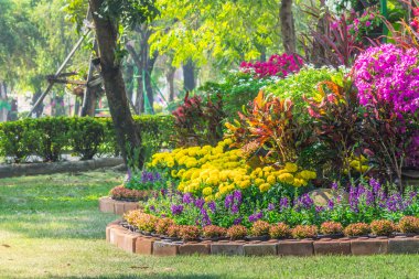 Bahçedeki çiçekler.