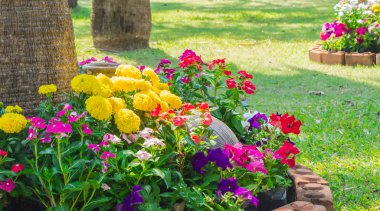 Bahçedeki çiçekler.