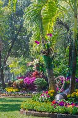 Bahçedeki çiçekler.