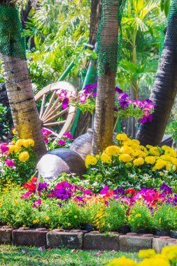 Bahçedeki çiçekler.