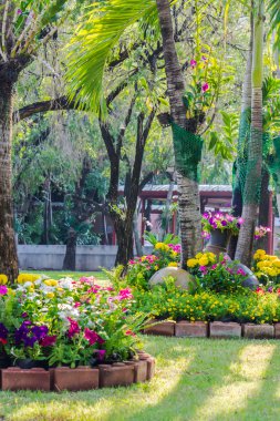 Bahçedeki çiçekler.