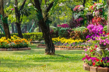 Bahçedeki çiçekler.