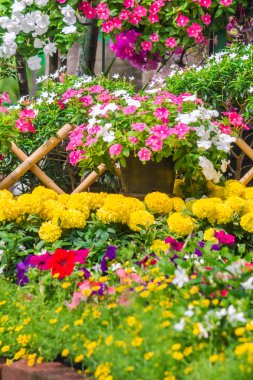 Çitle çevrili bir ön bahçede çiçek.