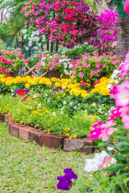 Çitle çevrili bir ön bahçede çiçek.