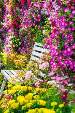 Çiçek Bahçesi Beyaz ahşap sandalye.
