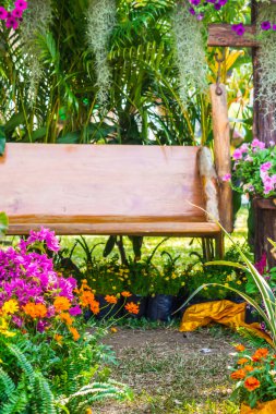 Çiçek Bahçe ahşap sandalye.