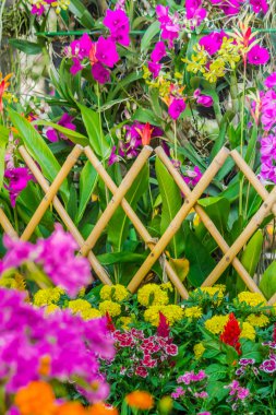 Çitle çevrili bir ön bahçede çiçek.