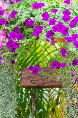 Çitle çevrili bir ön bahçede çiçek.