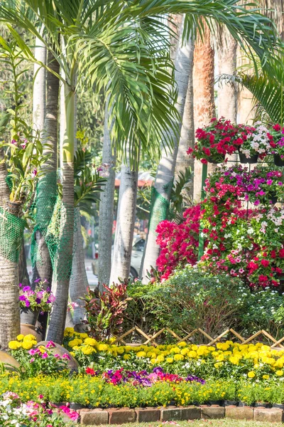 Flowers in the garden. — Stock Photo, Image