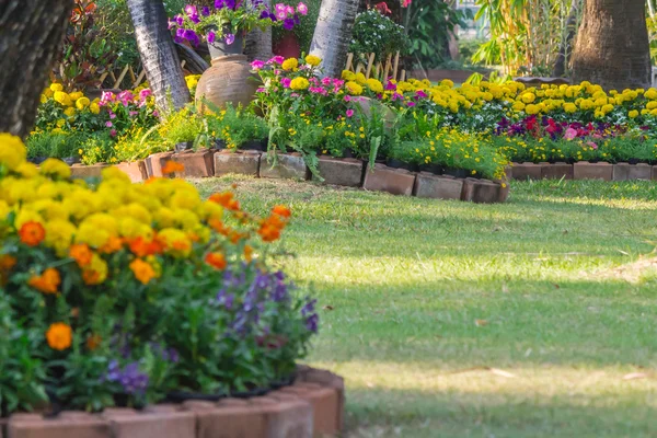 Bahçedeki çiçekler.