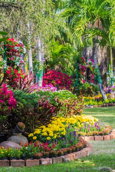 Bahçedeki çiçekler.