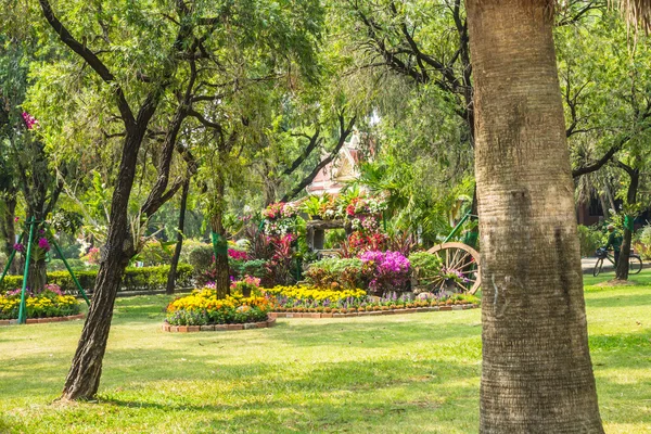 Cadeira de madeira no jardim de flores . — Fotografia de Stock