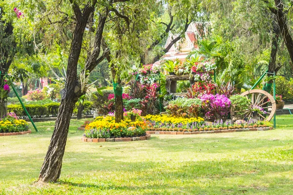 Cadeira de madeira no jardim de flores . — Fotografia de Stock