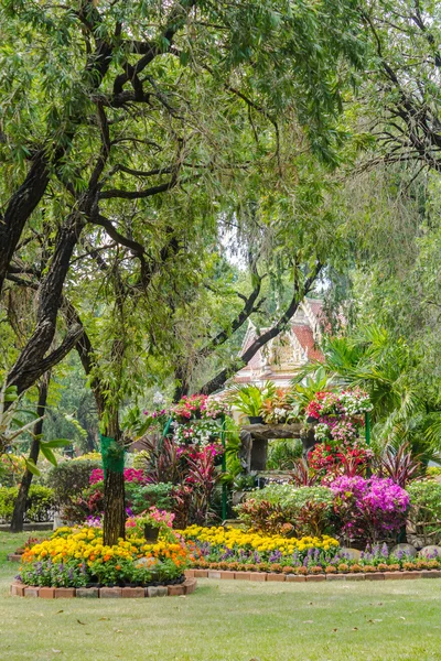 Flores en el jardín. — Foto de Stock