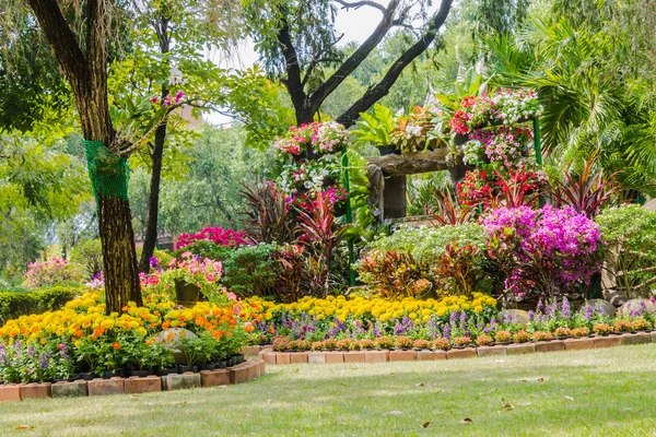 Flores no jardim. — Fotografia de Stock