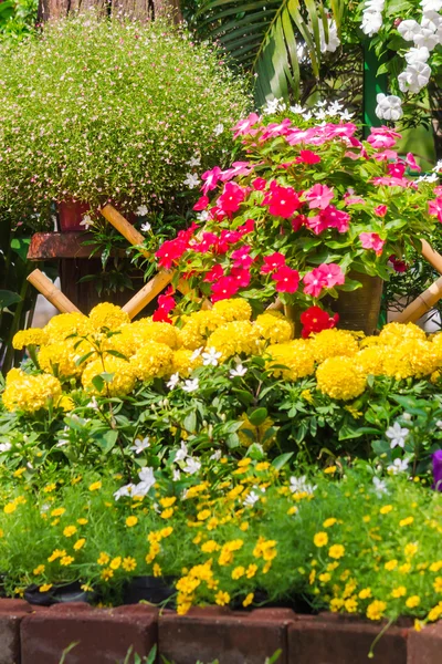 Lattenzaun umgeben von Blumen in einem Vorgarten. — Stockfoto