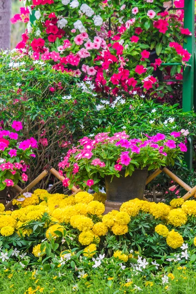 Recinzione di picchetti circondata da fiori in un cortile anteriore . — Foto Stock