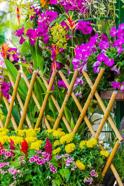 Recinzione di picchetti circondata da fiori in un cortile anteriore . — Foto Stock
