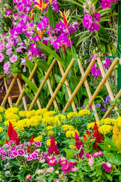 Cerca de piquete cercada por flores em um quintal da frente . — Fotografia de Stock