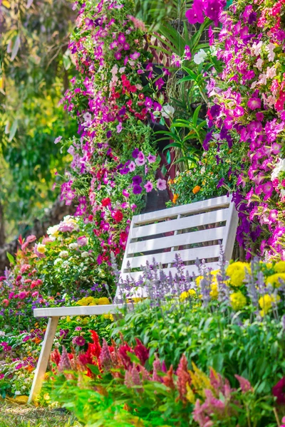 Cadeira de madeira branca no jardim de flores . — Fotografia de Stock