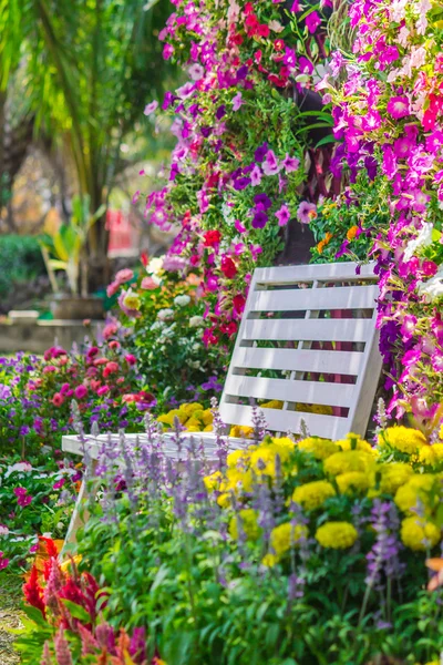 Cadeira de madeira branca no jardim de flores . — Fotografia de Stock