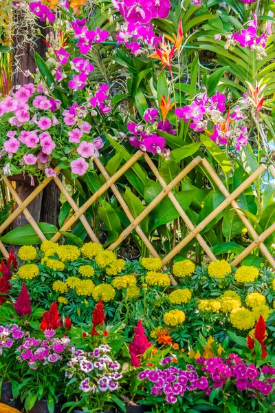 Valla de piquete rodeada de flores en un patio delantero . — Foto de Stock