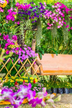 Güzel çiçek bahçesi yaz.