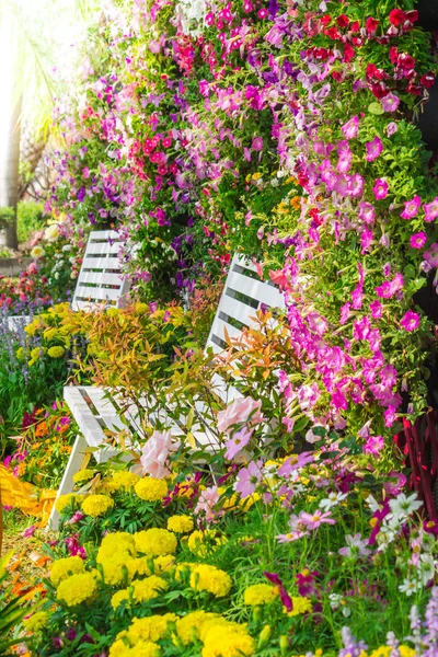 Fiori in giardino. — Foto Stock