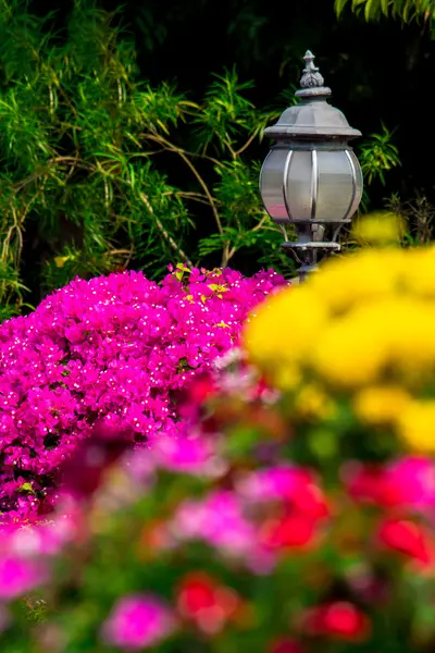 Luz de jardín en el jardín del hogar — Foto de Stock