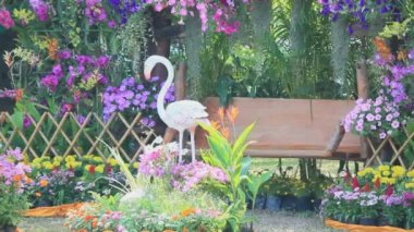 Ahşap Çiçek Bahçe, Hd vdo hızıyla.