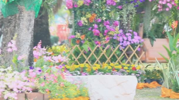 Balanço de madeira no jardim de flores, HD vdo . — Vídeo de Stock